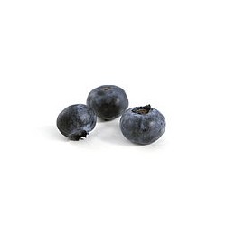( Confiture de myrtilles sauvages 80% fruits) 