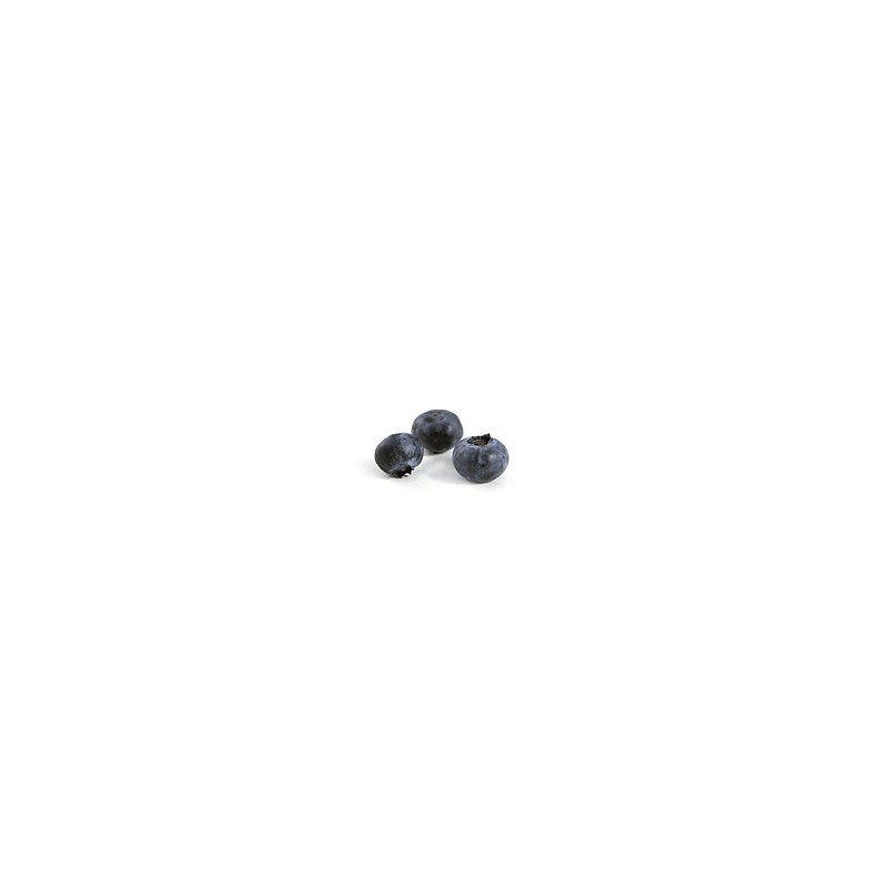 ( Confiture de myrtilles sauvages 80% fruits) 