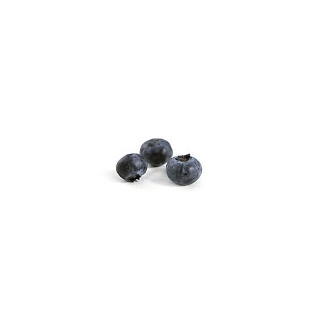 ( Confiture de myrtilles sauvages 80% fruits) 
