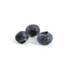 ( Confiture de myrtilles sauvages 80% fruits) 