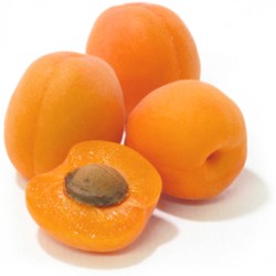 Confiture lisse d'abricot 'Varieté reale' 5.2kg 