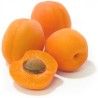 Confiture lisse d'abricot 'Varieté reale' 5.2kg 