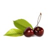 ( Confiture extra de cerises 94% fruits) 