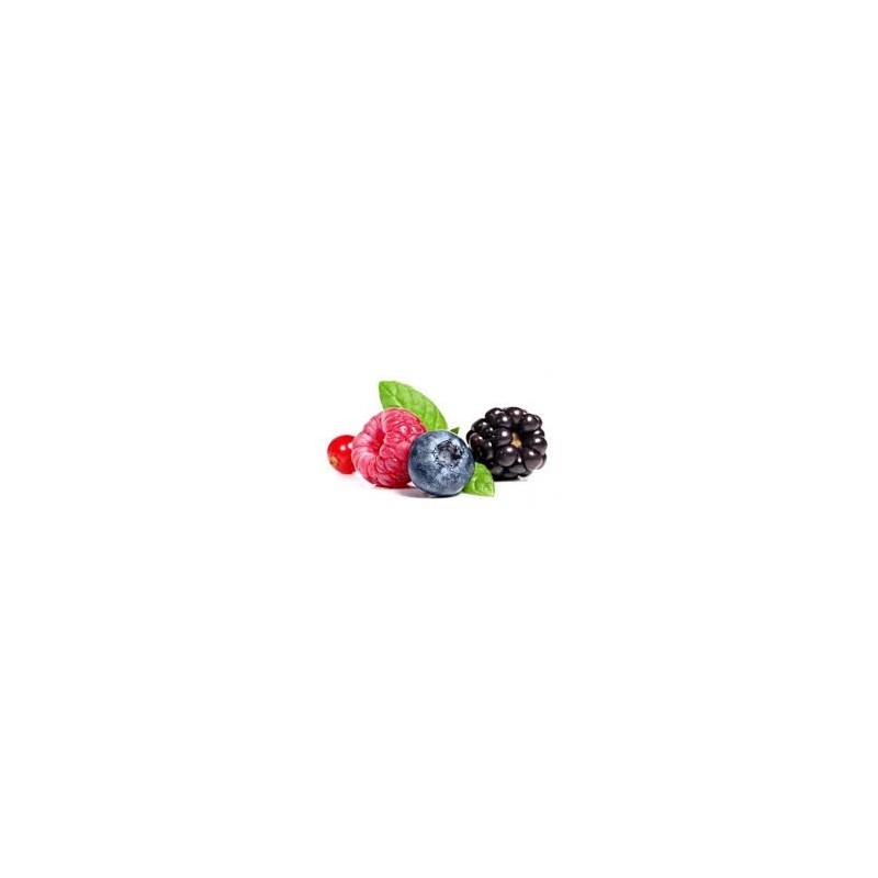 Fructaé - Confiture Fruits des bois - Boite 0.9Kg 