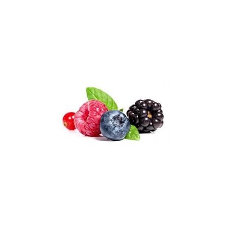Fructaé - Confiture Fruits des bois - Boite 0.9Kg 