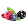 Fructaé - Confiture Fruits des bois - Boite 0.9Kg 