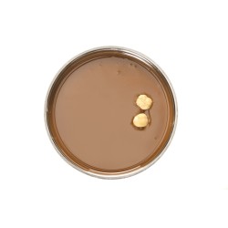 Pâte Pure Noisettes Grillées Piémont 1Kg