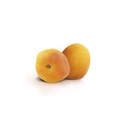 Confit abricot pour distributeur