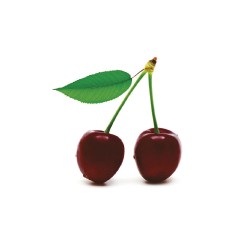 Confiture extra de griottes (visciolata) 86% 