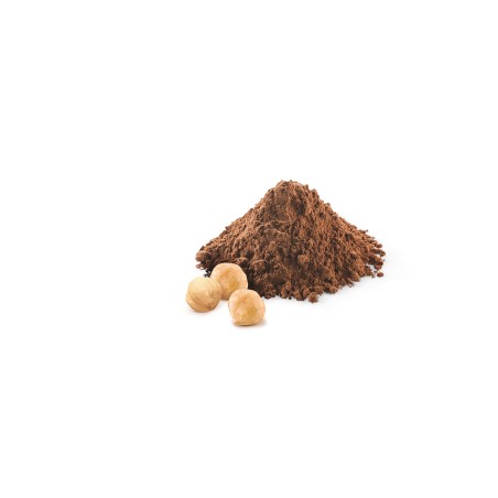 Crème cacao/noisettes- tartiner/glace-6kg