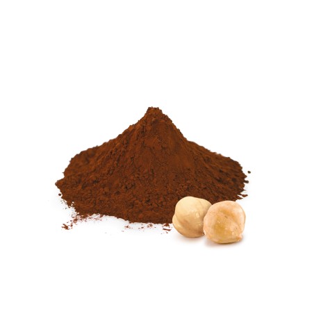 Fourrage Gianduja 25% noisettes -0.9Kg