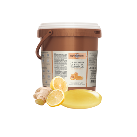 Cremagel de fruits naturel - Citron &amp; Gingembre 6.5Kg