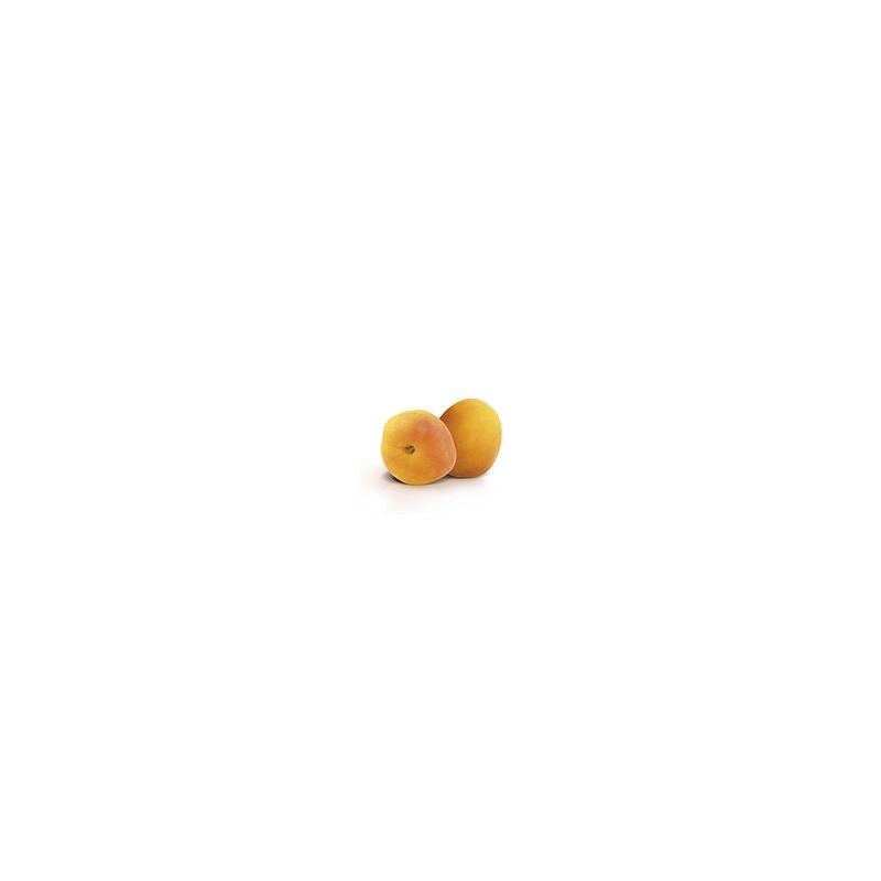 Confit abricot pour distributeur