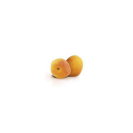 Confit abricot pour distributeur