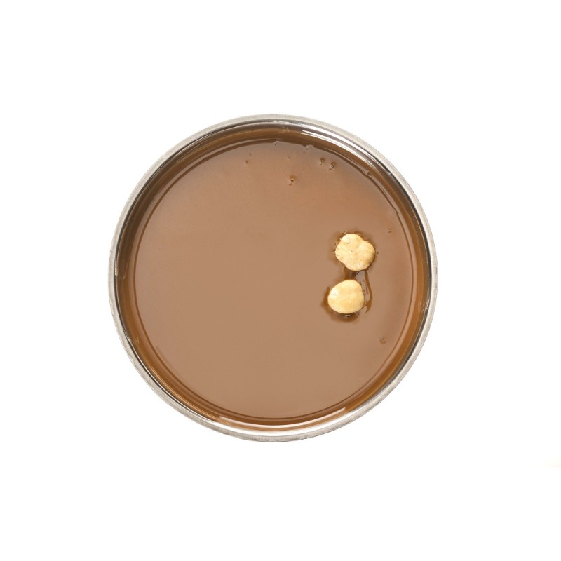 Pâte Pure Noisettes Grillées Piémont 1Kg