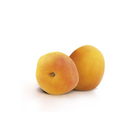 Abrigel gelée d'abricot pour nappage