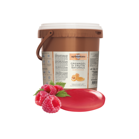 Cremagel de fruits naturel - Framboise 6.5Kg
