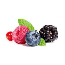 Stracciatella Fruits des bois - Boite 0.9Kg 