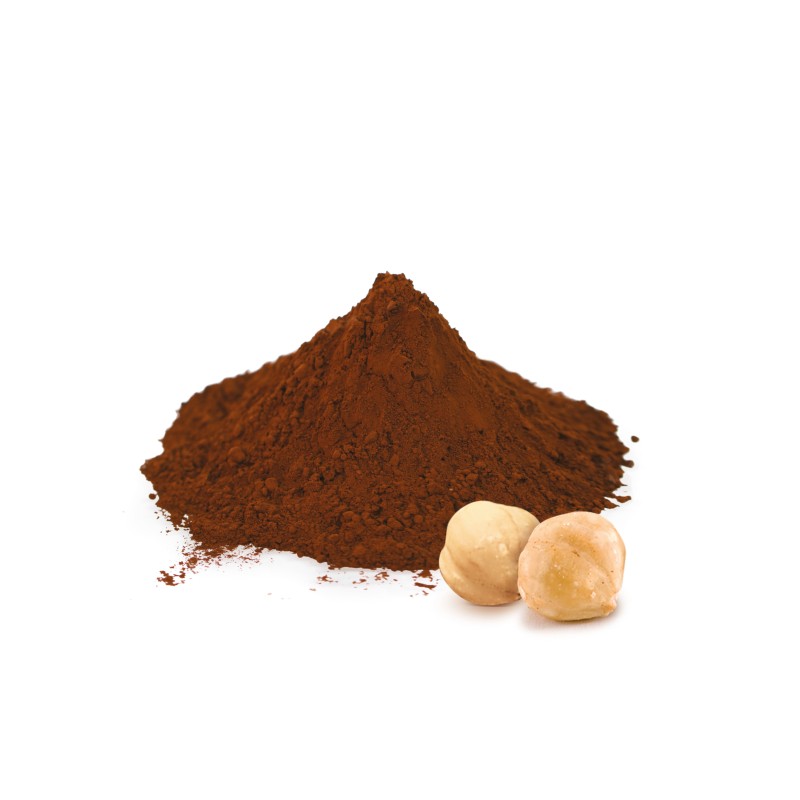 Fourrage Gianduja 25% noisettes -0.9Kg