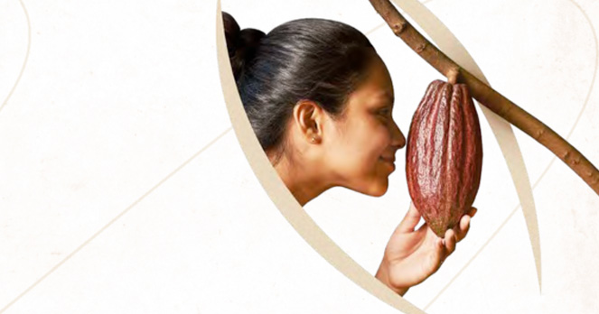 Agricacao: The Art of Chocolate according to Agrimontana