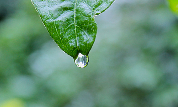 Certifications et garanties